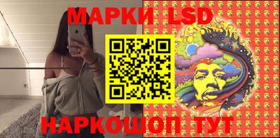 стафф Гусев