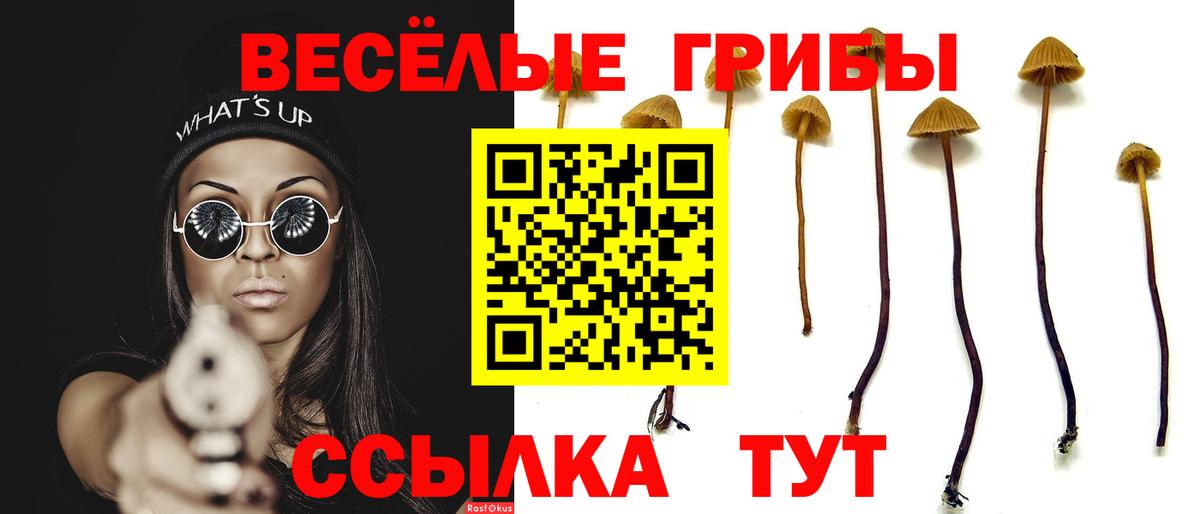 Галлюциногенные грибы мицелий Лянтор